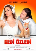 Online film Kedi Özledi