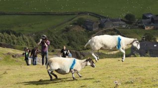 Online film Lad: A Yorkshire Story