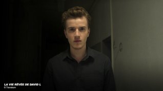 Online film La vie rêvée de David L