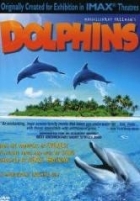 Online film Dolphins