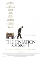 Online film The Sensation of Sight