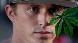 Online film Kid Cannabis