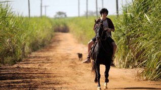 Online film A Cadeira do Pai