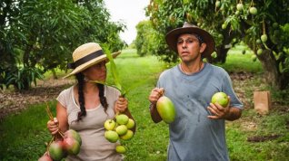 Online film The Fruit Hunters