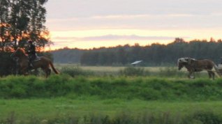 Online film Juhannustyttö