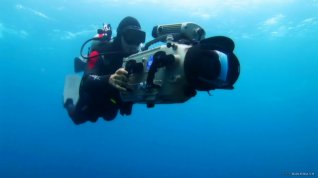 Online film Sharkwater