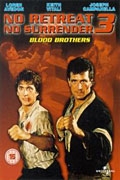 Online film Karate tiger 3: Pokrevní bratři