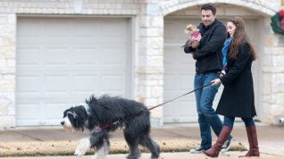 Online film A Dogwalker's Christmas Tale