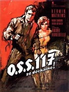 Online film OSS 117 se zlobí