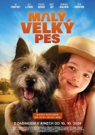 Online film Malý velký pes