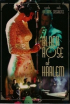 Online film Black Rose of Harlem