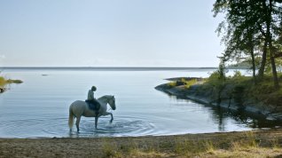 Online film Innan vintern kommer