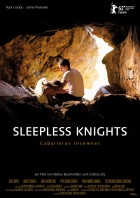 Online film Sleepless Knights