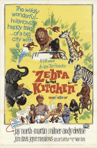 Online film Zebra in the Kitchen