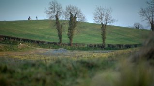 Online film A Belfast Story