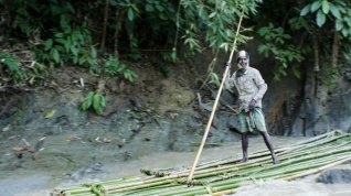 Online film Příběhy z bambusu