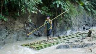 Online film Příběhy z bambusu