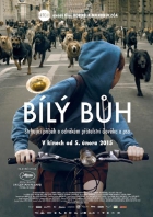 Online film Bílý bůh