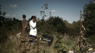 Online film À travers les branches d'un arbre