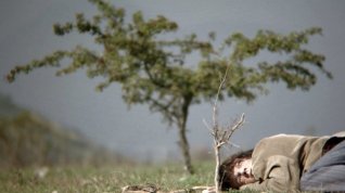 Online film À travers les branches d'un arbre