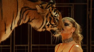 Online film Wild Women – Gentle Beasts