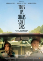 Online film Tous les chats sont gris