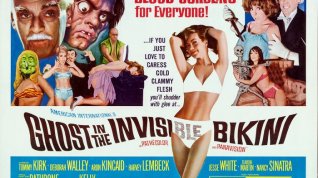 Online film The Ghost in the Invisible Bikini