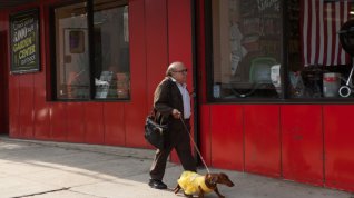 Online film Wiener-Dog