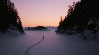 Online film Nevyhnutelné zabíjení