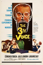 Online film The 3rd Voice