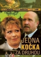 Online film Jedna kočka za druhou