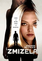 Online film Zmizelá