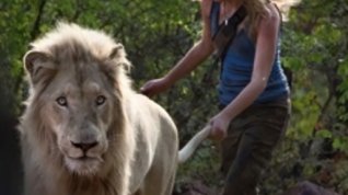 Online film Mia a bílý lev