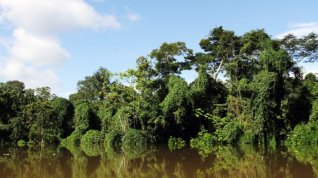 Online film Amazonas - A sustainable Life in the Rainforest