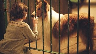 Online film Lassie