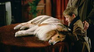 Online film Lassie