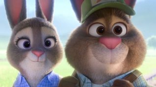 Online film Zootropolis: Město zvířat