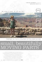 Online film Small, Beautifully Moving Parts