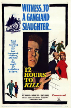 Online film 12 Hours to Kill