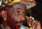 Herec Lee Perry